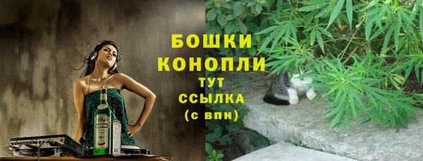 сатива Алагир
