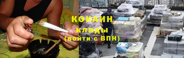 молекула духа Медвежьегорск