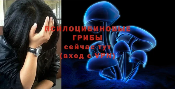 винт Медногорск